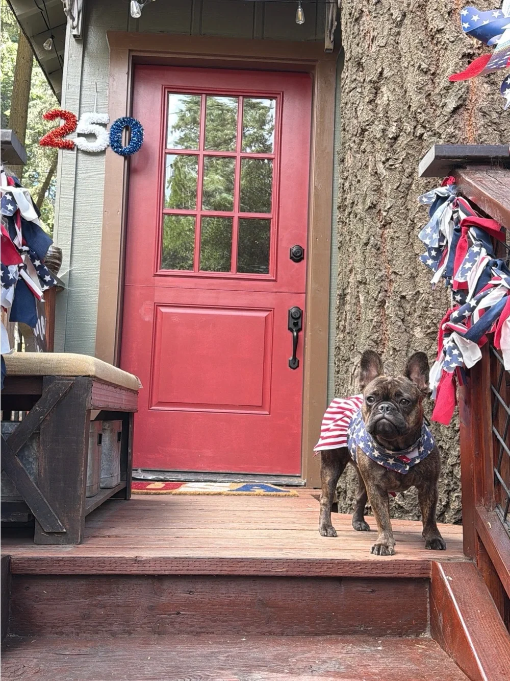 American Flag Pet Dress